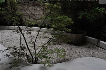 A small, private urban courtyard in El Born, Barcelona