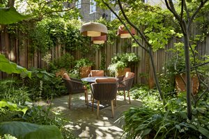 Stefano Marinaz MSGD - In the shade of the Catalpa tree: Alexander Square - Image Alister Thorpe