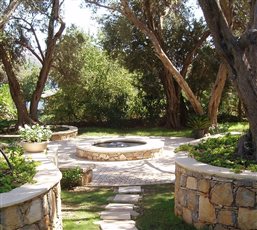 Olive Grove, Bodrum