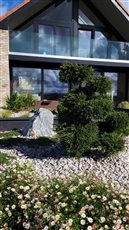 A Japanese-style garden with a modern twist brings this property renovation up to date.