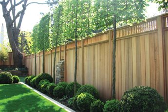 Bespoke avenue fencing
