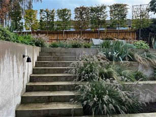 Modern town garden - Twyford, Berkshire, polished concrete