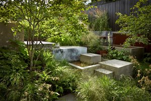 Tom Massey MSGD - Twickenham Garden - Image Alister Thorpe