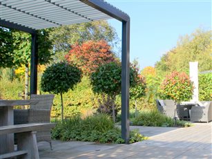 Bespoke metal pergola and pleached hornbeam to create dining area on a stone paving and deck terrace.