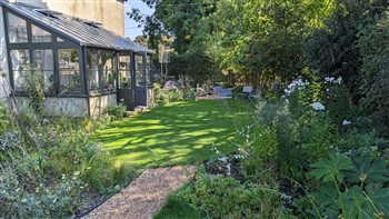 Oval lawn to the side of the Georgian farmhouse linking the Japanese pond garden with the curvaceous mixed borders filled with exotic plants and colourful perennials. Tilmanstone in Kent. First summer. 