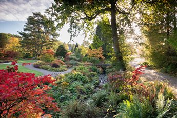 RHS Garden Harlow Carr, Yorkshire