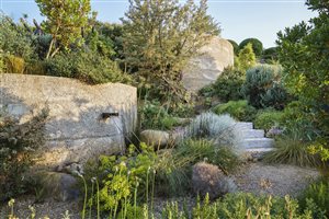 Winner: Andy Sturgeon FSGD, Project: Isle of Wight Garden, Image: Rachel Warne