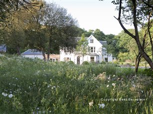 Hampshire SGD Winner Large Residential Garden 2020