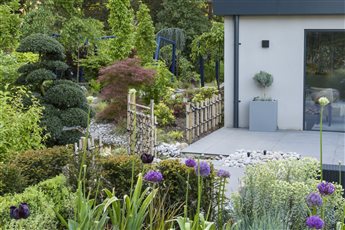 Japanese Garden, Hertfordshire

Photo: © Anna Omiotek-Tott