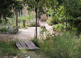 nature garden with timber bridge to gravel garden
