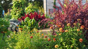Ann Marie Powell Gardens - Principal Designer - Ann Marie Powell FSGD - RHS Wisley, World Food Garden - Image Mary Guinness