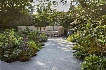 North London garden