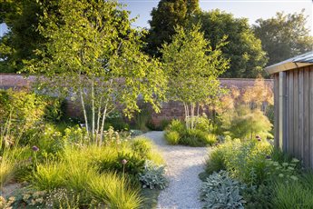 Suffolk Garden designed by Colm Joseph Gardens