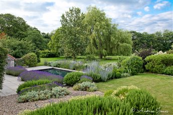  A garden in Somerset with gorgeous wraps around the existing swimming pool and takes ones eye out to the landscape beyond.