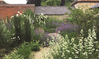 Early summer white garden