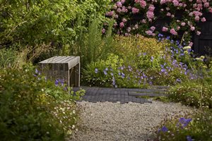 Harry Holding - The Hantone Garden.  Photograph © Alister Thorpe