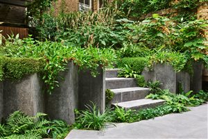 Winner Adolfo Harrison MSGLD, Westbourne Park. Photograph © Mischa Haller