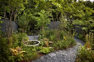 Winner: Stefano Marinaz Landscape Architecture Principle Designer Stefano Marinaz MSGD, Project: Edgy Woodland Wonderland, Image: Alister Thorpe