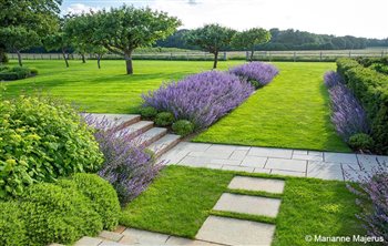 Surrey Serene - winner of the SGD Large Residential Garden Award 2017
