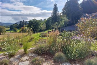 Rhydoldog House - Welsh Garden