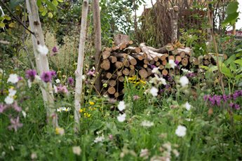 RHS Badminton Flower Show planting detail