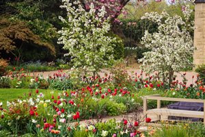 Bestall & Co Landscape Design Ltd, Principal Designer Lee Bestall MSGLD - The Pines Yorkshire.