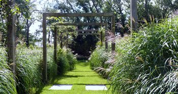 Barefoot garden, Cornwall
- Walk to croquet lawn