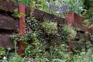 Winner Fi Boyle MSGLD, Old Quarry Garden. Photograph © Heather Edwards
