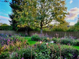 Emily Crowley-Wroe - Modern Cottage Garden