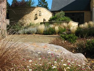 Stipa, fleabane and boulder