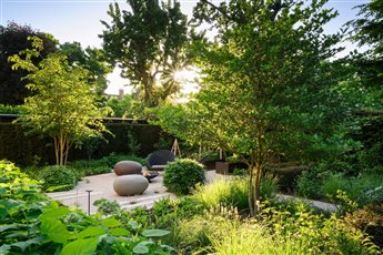 The forgotten side garden in London was transformed by removing the lawn and introducing a gravel and planting beds - suddenly the garden came to life and the owners started to use and enjoy the space