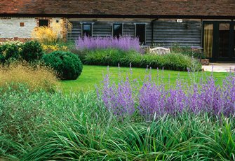 The blue spires of Perovskia rising out from cushions of Pennisetum grasses complement the the slated timbers of this barn conversion on the Sussex/Hampshire border 