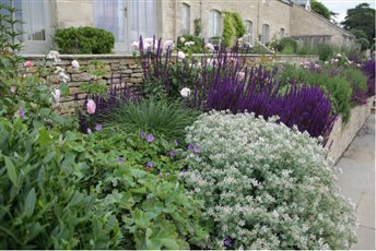 Barn conversion, Cold Ashton
- Sunken garden planting