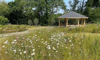 Wildlife House | David Hastie Garden Design