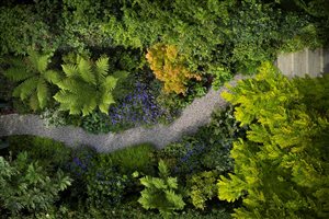 Stefano Marinaz MSGD - A sense of discovery - Image Alister Thorpe