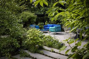 Stefano Marinaz MSGLD - A Garden with a Vibe. Photograph © Alister Thorpe