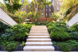 Anca Panait MSGLD - Chelsea Garden. Photograph © Richard Bloom