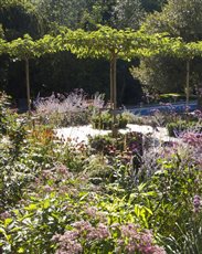 Rectory Garden Buckden

Aged Limestone and red brick terraces with formal trees and perennial planting