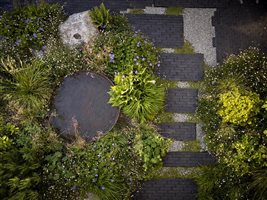 Harry Holding - The Hantone Garden.  Photograph © Alister Thorpe