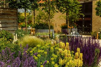 Courtyard planting 