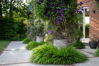a new-build garden in Oxfordshire