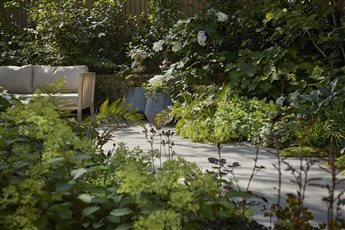 North London garden