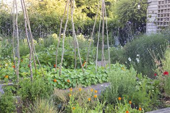 A wildlife friendly Eco house garden designed with resident bats in mind, local and reclaimed materials, bio-diverse, low carbon, this garden won the 'Design for the Environment' SGD Award 2022. Photo Credit: Abigail Rex