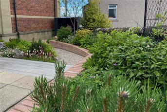 A curvaceous split level garden in Blairgowrie that connects with the small studio apartment and has a strong structural planting palette that offers year-round interest.