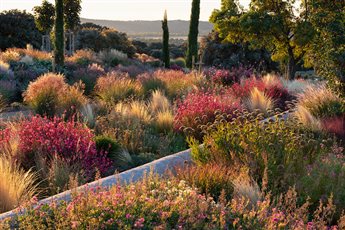 Madrid, Spain Garden designed by Alvaro Sampedro