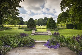 The steps that lead to the vineyard, framed by tall yew cones. Part of a large garden in Buckinghamshire.