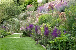 Winner Fi Boyle MSGLD, Old Quarry Garden. Photograph © Heather Edwards