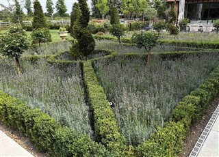 Classic formal garden