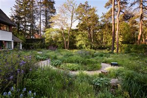 Stefano Marinaz Landscape Architecture, principal designer Stefano Marinaz MSGLD - Woodland Glade Sanctuary in Autumn