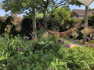 A small town garden in Dorset